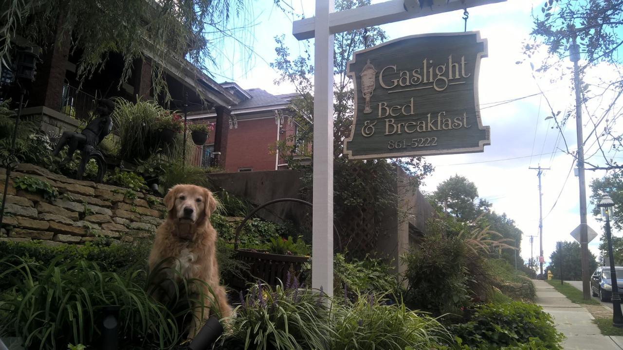 Gaslight Bed & Breakfast 辛辛那提 外观 照片